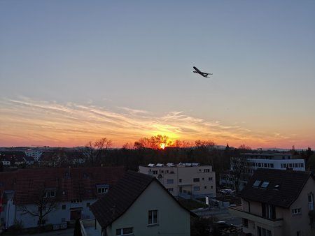 IMG_20190415_200559.jpg
