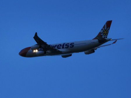 IMG_20190415_200609.jpg