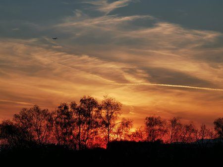 IMG_20190415_200849.jpg