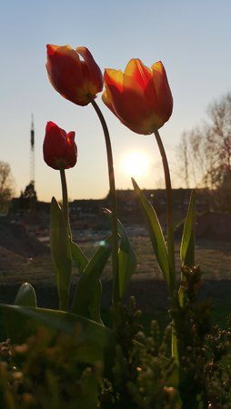 IMG_20190415_192802.jpg
