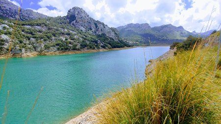20190406_144944_HDR~2.jpg