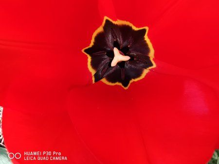 IMG_20190416_172324.jpg