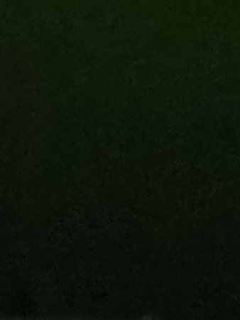 IMG_20190416_212934.jpg