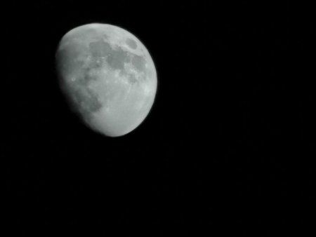 IMG_20190415_220352.jpg
