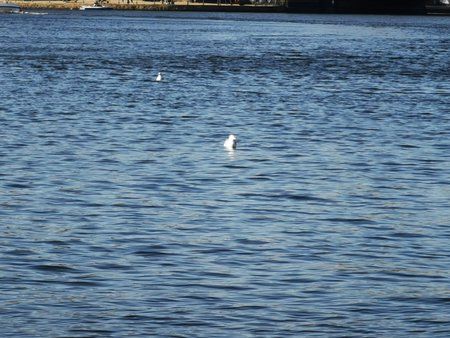 IMG_20190416_173547.jpg