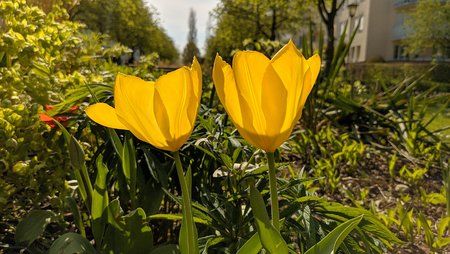 IMG_20190417_153837.jpg