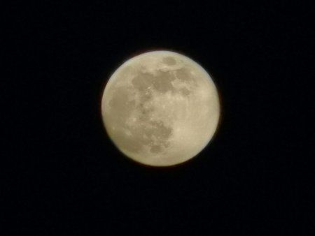 IMG_20190418_203948.jpg