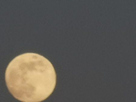 IMG_20190418_201507.jpg