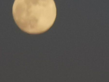 IMG_20190418_201506.jpg