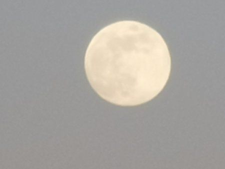 IMG_20190418_201325.jpg