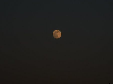 IMG_20190418_201149.jpg