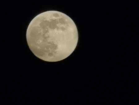 IMG_20190418_203925.jpg