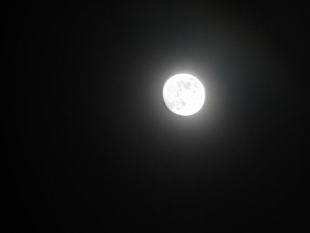 IMG_20190417_221826.jpg