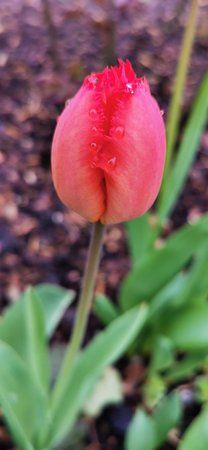 IMG_20190414_134844.jpg