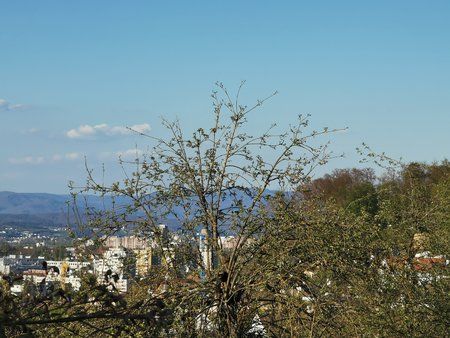IMG_20190418_184614.jpg