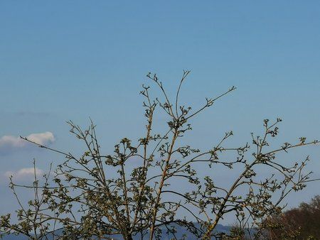 IMG_20190418_184618.jpg