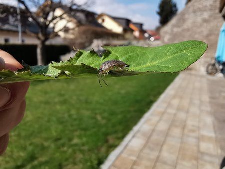 IMG_20190419_100132.jpg