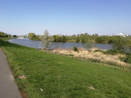 IMG_20190419_154049.jpg