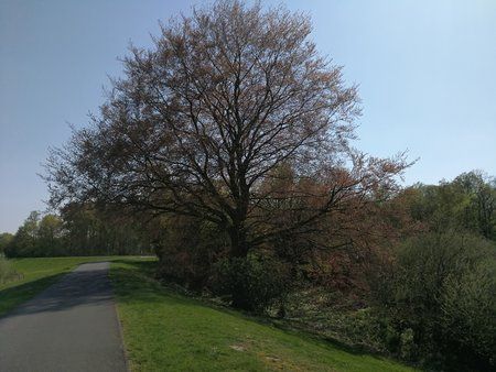 IMG_20190419_154338.jpg