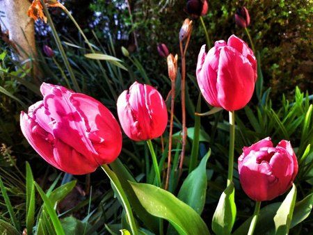IMG_20190419_180252-01-1024x768.jpeg