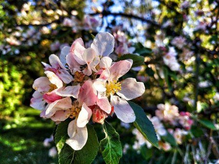IMG_20190419_180924-01-1024x768.jpeg