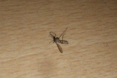 IMG_20190420_005310_1.jpg