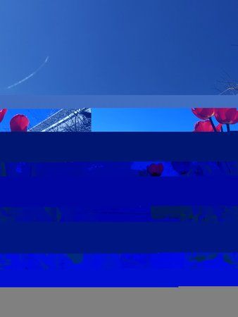 IMG_20190420_124922.jpg