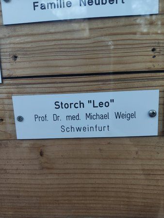 Schatten.jpg
