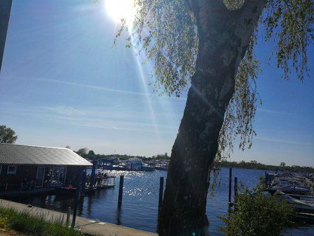 IMG_20190422_164653-01.jpeg