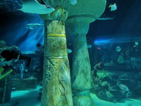 IMG_20190415_132316.jpg