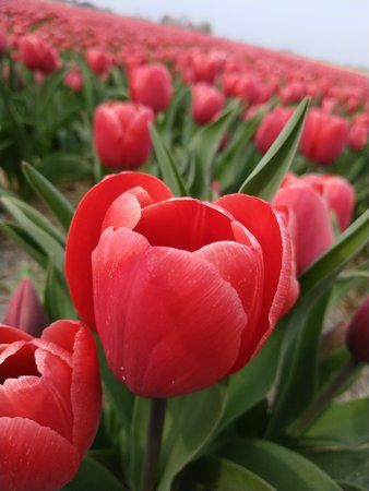 IMG_20190416_173828.jpg