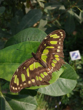 IMG_20190413_115449.jpg