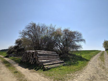 GCam IMG_20190421_140922.jpg