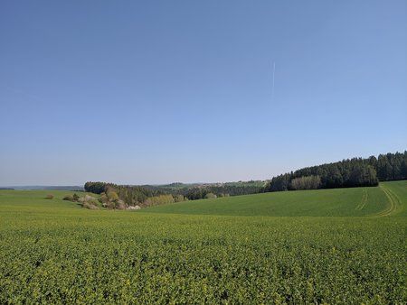 GCam HDR+ IMG_20190421_142939.jpg