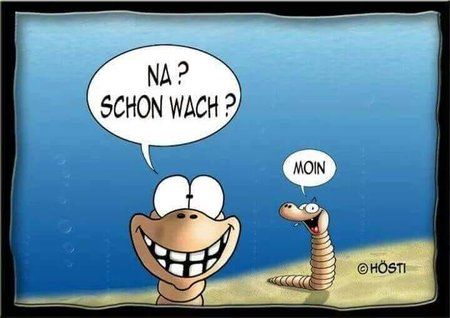 Schon wach Moin.jpg