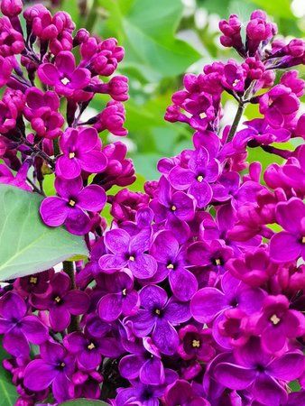 IMG_20190421_171124.jpg