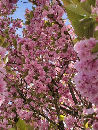 IMG_20190424_145852.jpg