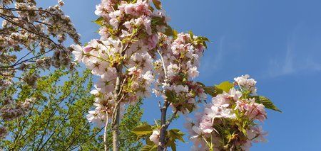 20190424_163901.jpg