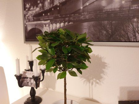 20190424_215449.jpg