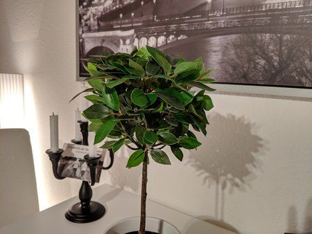IMG_20190424_215543.jpg