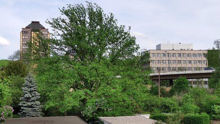 IMG_20190424_161509.jpg
