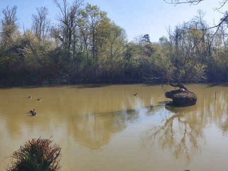 IMG_20190411_095037.jpg