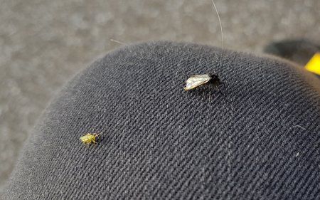 20190425_202509.jpg