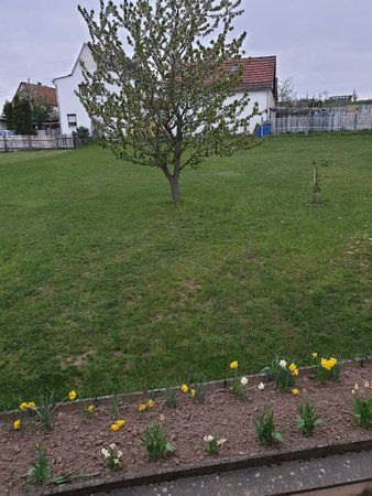 20190426_182805.jpg