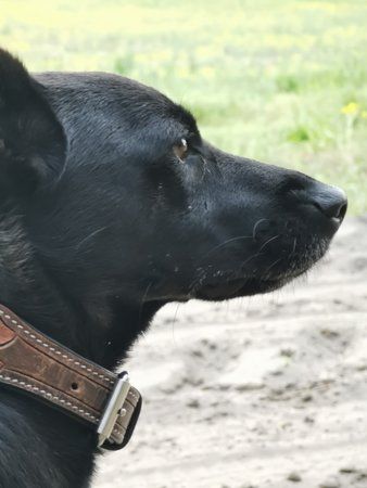 IMG_20190426_193500.jpg