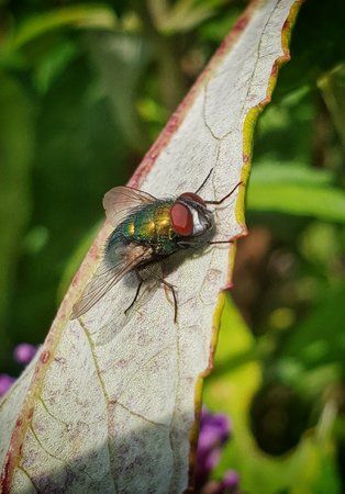 20180910_123426-01.jpeg