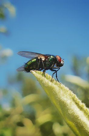 20180805_153920-01.jpeg