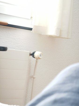 IMG_20190428_091556.jpg
