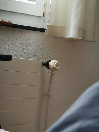 IMG_20190428_091623.jpg