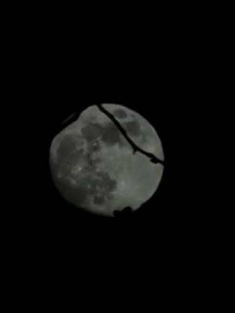 IMG_20190418_214816.jpg